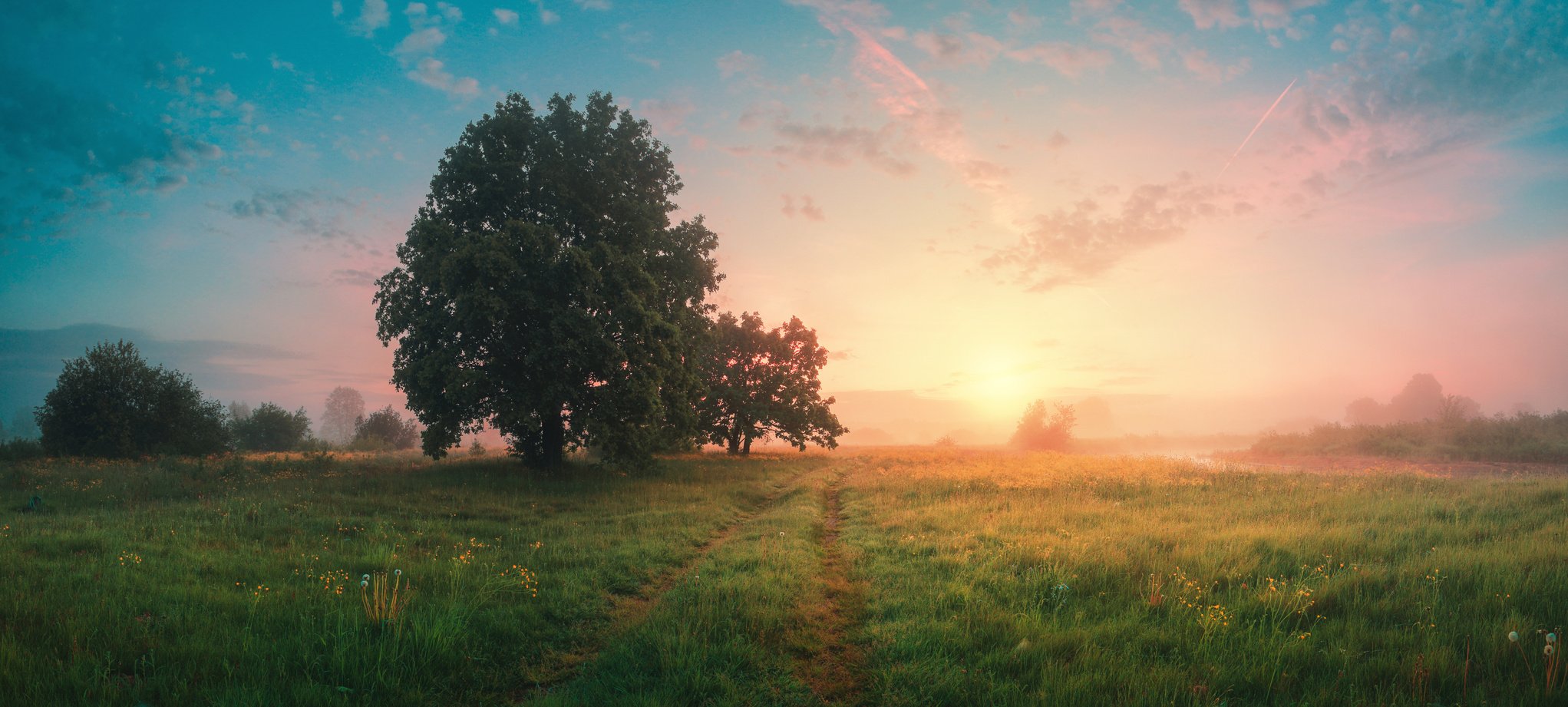 Spring panoramic landscape